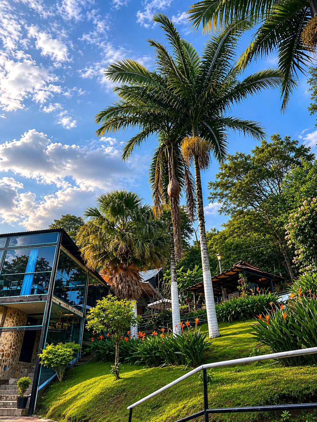 Jardines